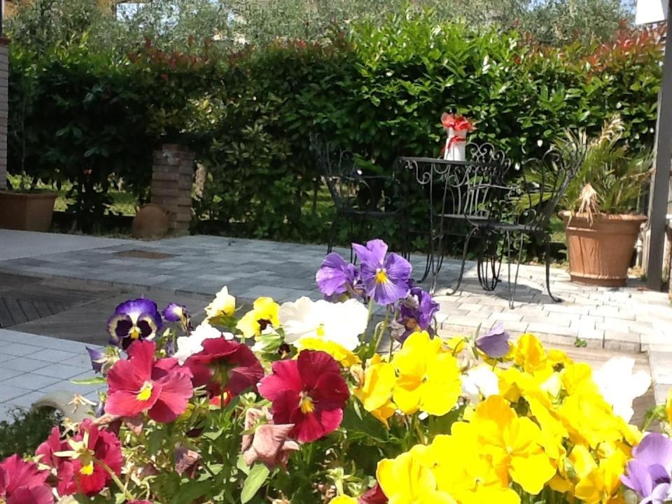 Villa Elisa Gambettola Luaran gambar